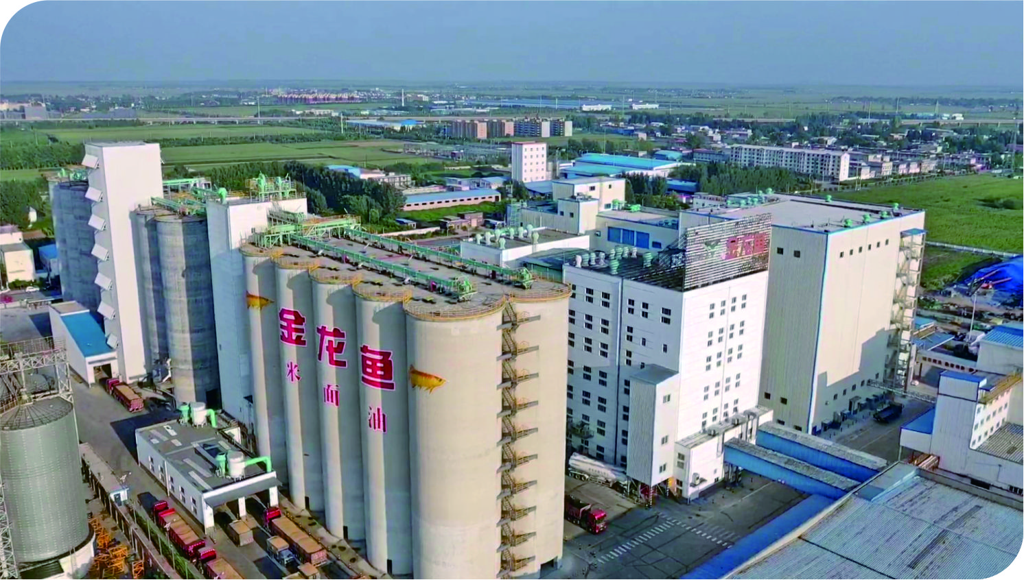 华泰承建益海嘉里油脂设备项目