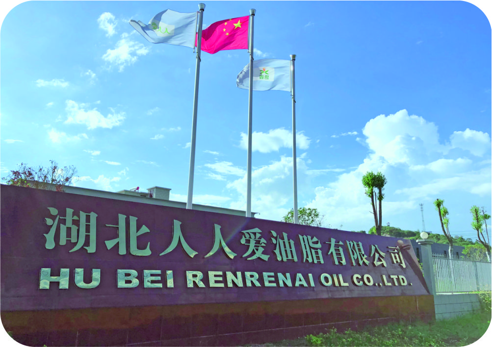 湖北人人爱50吨/天茶籽制油项目