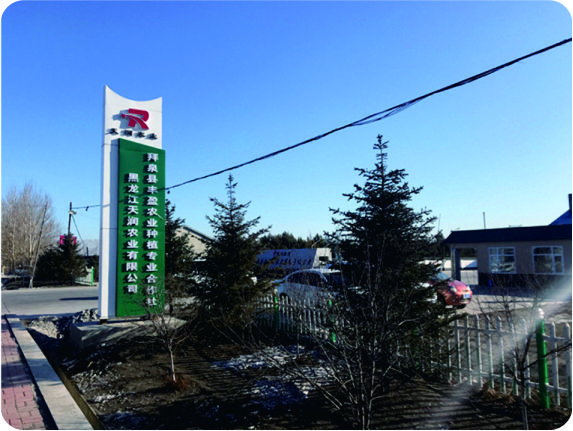 黑龙江天润200吨/天大豆榨油、30吨/天精炼生产线