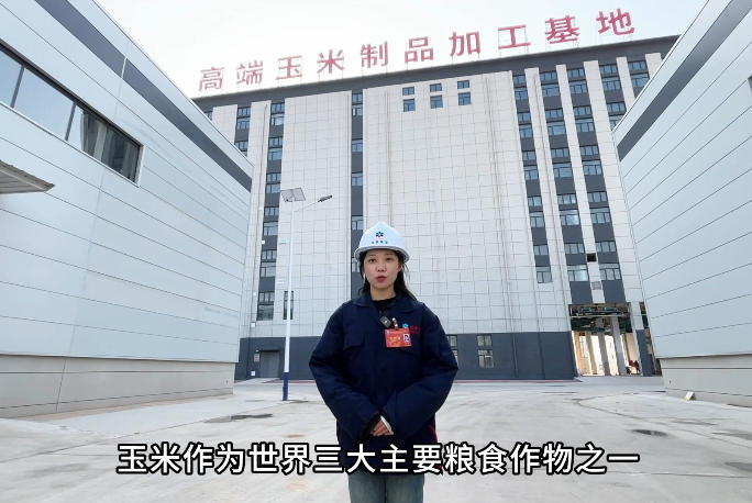 河南安阳50T/D玉米胚芽油全连续精炼项目