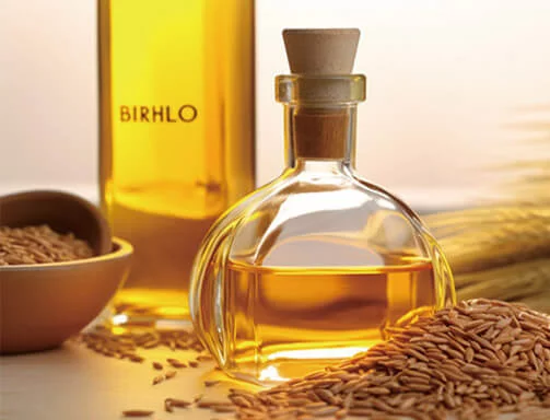 米糠油生产线方案