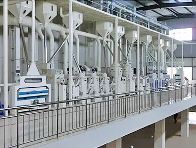 大米加工生产线