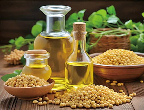 大豆油生产线
