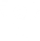 Manufacturing single champion demonstration enterprise