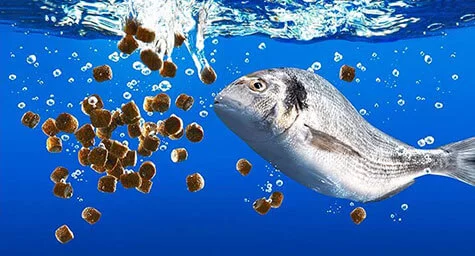 水产鱼饲料生产线