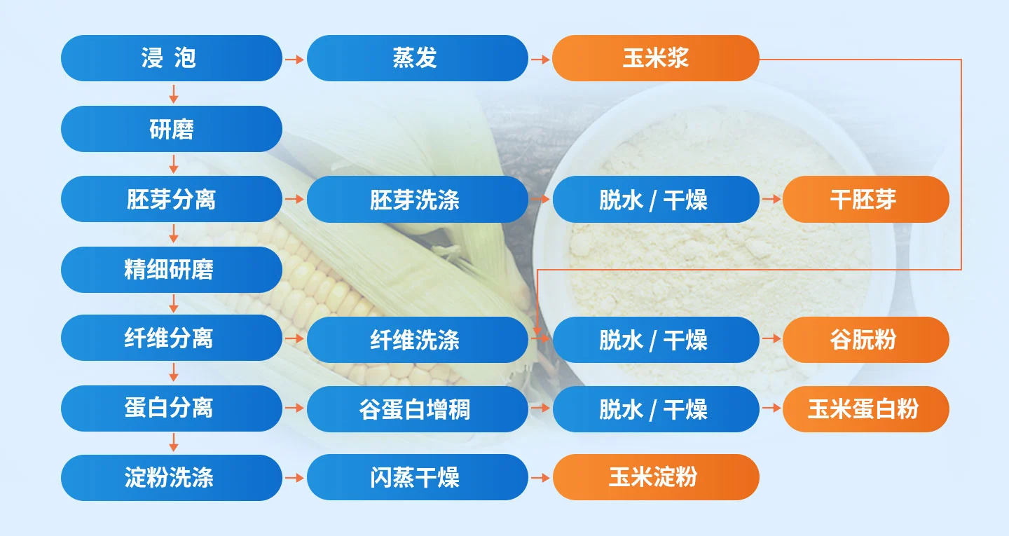 玉米淀粉生产工艺流程