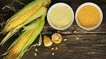 玉米淀粉