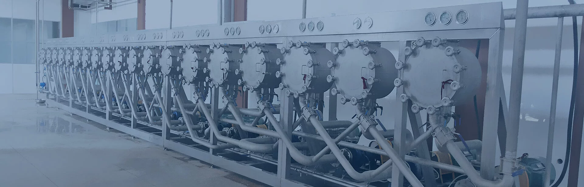 淀粉及蛋白工程